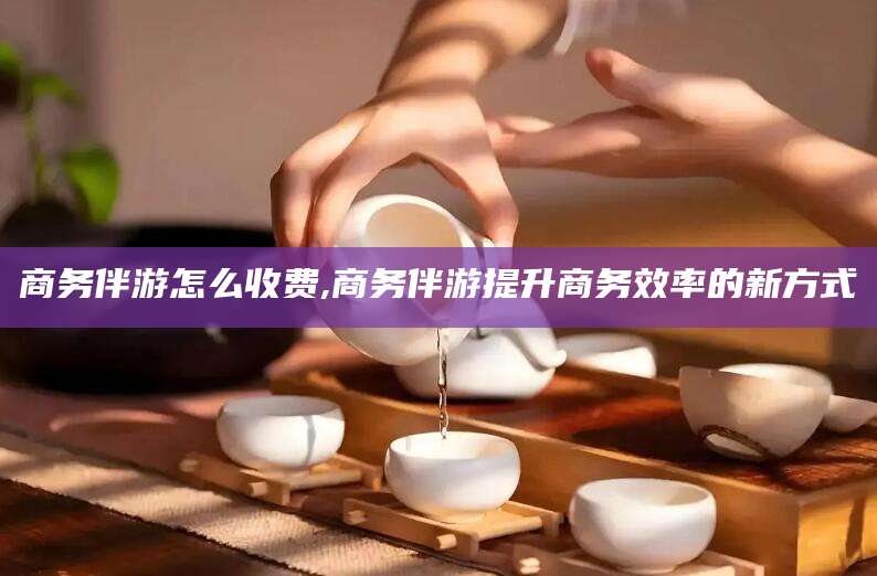 韩城商务伴游怎么收费,商务伴游提升商务效率的新方式